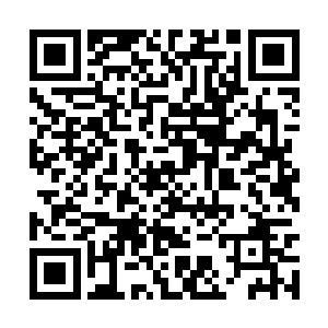 但是等到他们看到许紫烟只是天仙后期巅峰的时候二维码生成