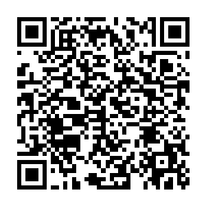 但是组织原则决定了只有常委会表决结果才能真正称之为组织决定二维码生成