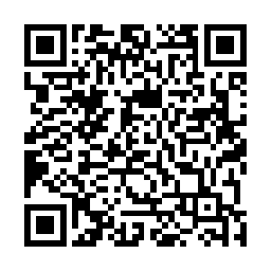 但是肚子的轰鸣提醒她如果再不吃东西她可能就快饿死了二维码生成