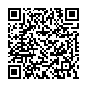 但是自从谢兰兰那天早上自己离开王淑芳的家后二维码生成
