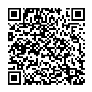 但是苏老只以为薛老头这么做是为了让林铭拜他为师再交不菲的学费二维码生成