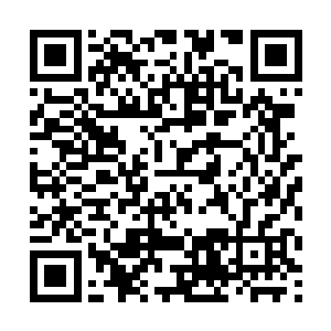 但是要是这里的原住民从儿时就开始以这些灵餐喂食二维码生成