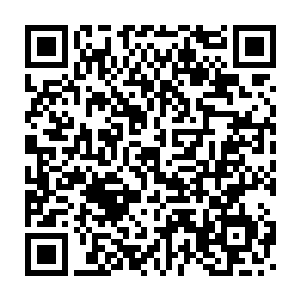 但是请看这张我们从他们的卫星网络中下载的医学科研用通用解剖图二维码生成
