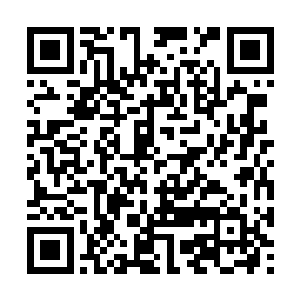 但是赵芳琼一向对男弟子都保持着相当漠然的距离二维码生成