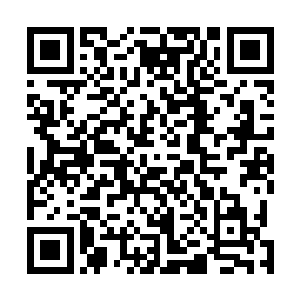 但是跑不快又胆子小的她大多时候都会远远的站在那看着二维码生成