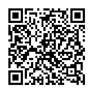 但是还是快速的朝离他们十几米开外的大王乌贼游了过去二维码生成