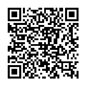 但是这五十六只魂兽已经完全攻破了许紫烟的防御二维码生成