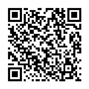 但是这些战士身后还有更多冬天都不一定吃得饱的族人二维码生成