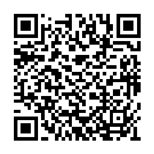 但是这次呼啸山脉可是一下子陨落了近五万修士二维码生成