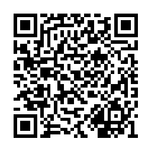 但是那嚣张的话语让几个长老都砸吧了一下嘴角二维码生成