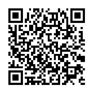 但是那幻境告诉了我躲在王宫里的家伙倚仗的东西在哪儿~~二维码生成