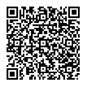 但是陆为民也大略知晓雷达应该是从中建集团第一批停薪留职自己出来做生意的生猛角色二维码生成