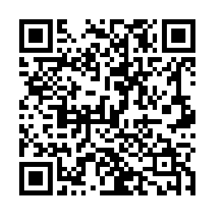 但是陆为民对原来在一起工作过的同事还是比较关注的二维码生成