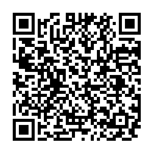 但是随着民主集中制从革期间的废止到现在的逐步确定并约定俗成下来二维码生成