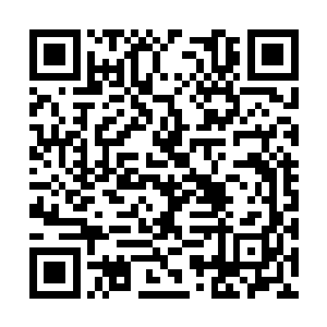 但是雷鹏和上官天凌早早的就已经在这里守候着了二维码生成