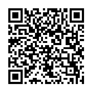 但有很多不可控制的因素会让尸体的性状发生改变二维码生成