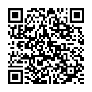 但正是这种举手投足之间都散发出拒人于千里之外的寒意的美人二维码生成