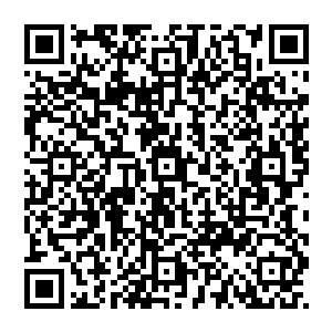 但此刻还是在一阵阵剧烈的轰鸣声中直接被周御龙那以金系力量所凝聚出来的金剑给轰得倒飞了出去二维码生成
