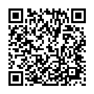 但白坤却是四海盟里唯一一个跟钱门有关系的人二维码生成