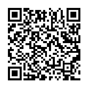 但看到被冷昶睿抱在怀里的女孩有着隐忍的泪水时二维码生成