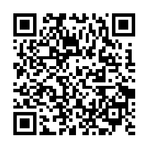 但看到铁龙宗开始高价和大批量的收购活着的血人的时候二维码生成