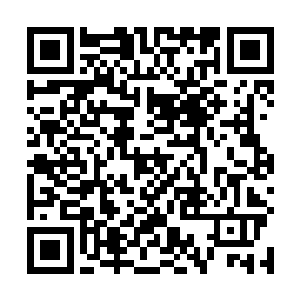但确实专门针对有神念和精魄出现在识海之内时所施展二维码生成