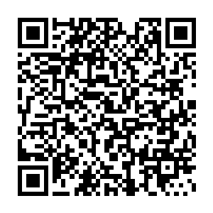 但至少可以从他们口中可以得知雷云界的灵兽分布还是比较均匀的二维码生成
