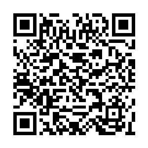 但苏澈惯于摆出一副天塌下来当被盖的清冷脸色二维码生成