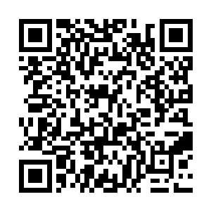 但若是有人一边眉开眼笑的看着低幼龄向的笑话集锦二维码生成