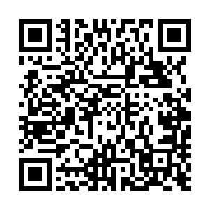 但辅酶q10的生产技术所带来的那种能够做出实际东西的快感二维码生成