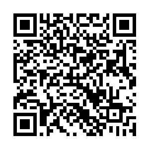 但这不正是你口口声声说的修仙界以实力为尊的规矩么二维码生成