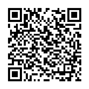 但这个也是因为他对于自己的儿子有着相当的了解二维码生成