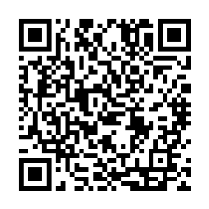 但这个老者身上却没有邪皇圣者身上那种磅礴的生命力二维码生成