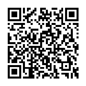 但这对于彼此技能输出量来讲却有着极大的差距二维码生成