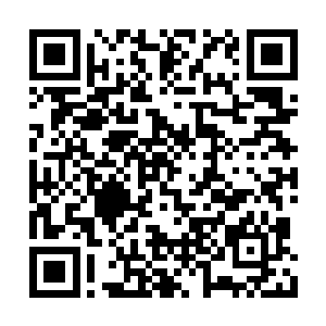 但这时见到惊慌失措的卢八娘在自己怀里依偎着二维码生成