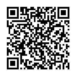 但这灰白色的剑很快又以肉眼可见的速度恢复了透明二维码生成