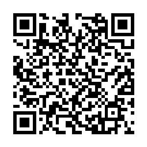 但这肉香味对于连着吃了二十天烤肉的卫亦航来说二维码生成