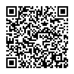 但迫于良好的私交与对我们民盟军建设金融体系及审计体系提供的帮助二维码生成