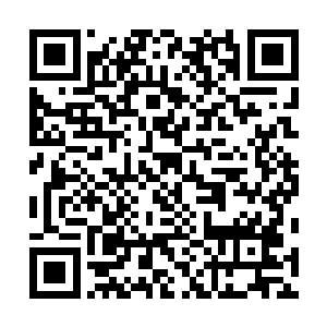 但迷雾依旧让那两团人影是橘红色到黄绿色边缘的像素体二维码生成
