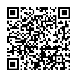 但那种刻意将泪水憋回去的模样让他登时慌了手脚二维码生成