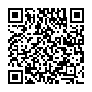 但除了夭华最后说的这句话与进来禀告之人最后说的几个字二维码生成