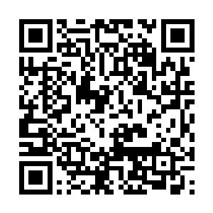 但韦德所领导的术士势力本来跟对方就是敌对关系二维码生成