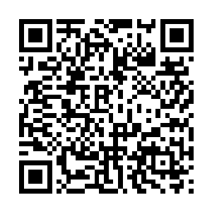 位于西印度群岛上的第二大岛伊斯帕尼奥拉岛东部二维码生成