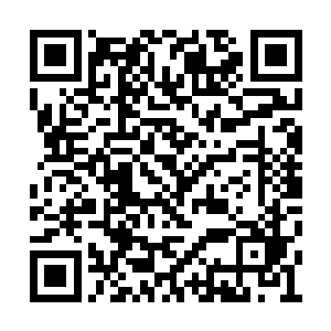 住在其他更加靠后的各宗派战队和家族散修战队二维码生成