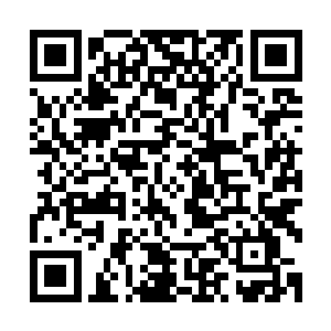 体内的从妖兽身上吸纳而来的力量完全的变成了修士的一部分二维码生成