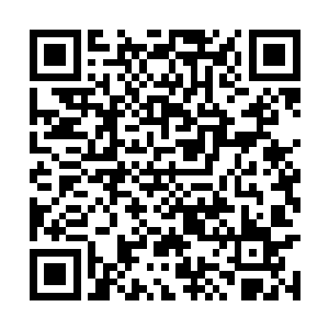 体内的元力积累已经达到了天尊中期巅峰的临界点二维码生成