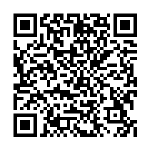 体内那蠢蠢欲动的混沌之力顿时变得安静了起來二维码生成