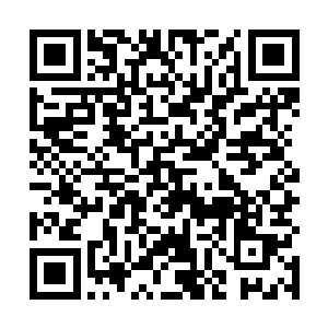 何况锐学组的成员是在更科学的课程计划表中勤奋学习二维码生成