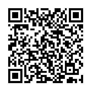 余下十道辰华的分身出现在了刚才龙宇所落下的地方二维码生成