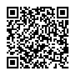 余鸣威胁她说如果不配合唐晓柔就会被男生给欺负了二维码生成